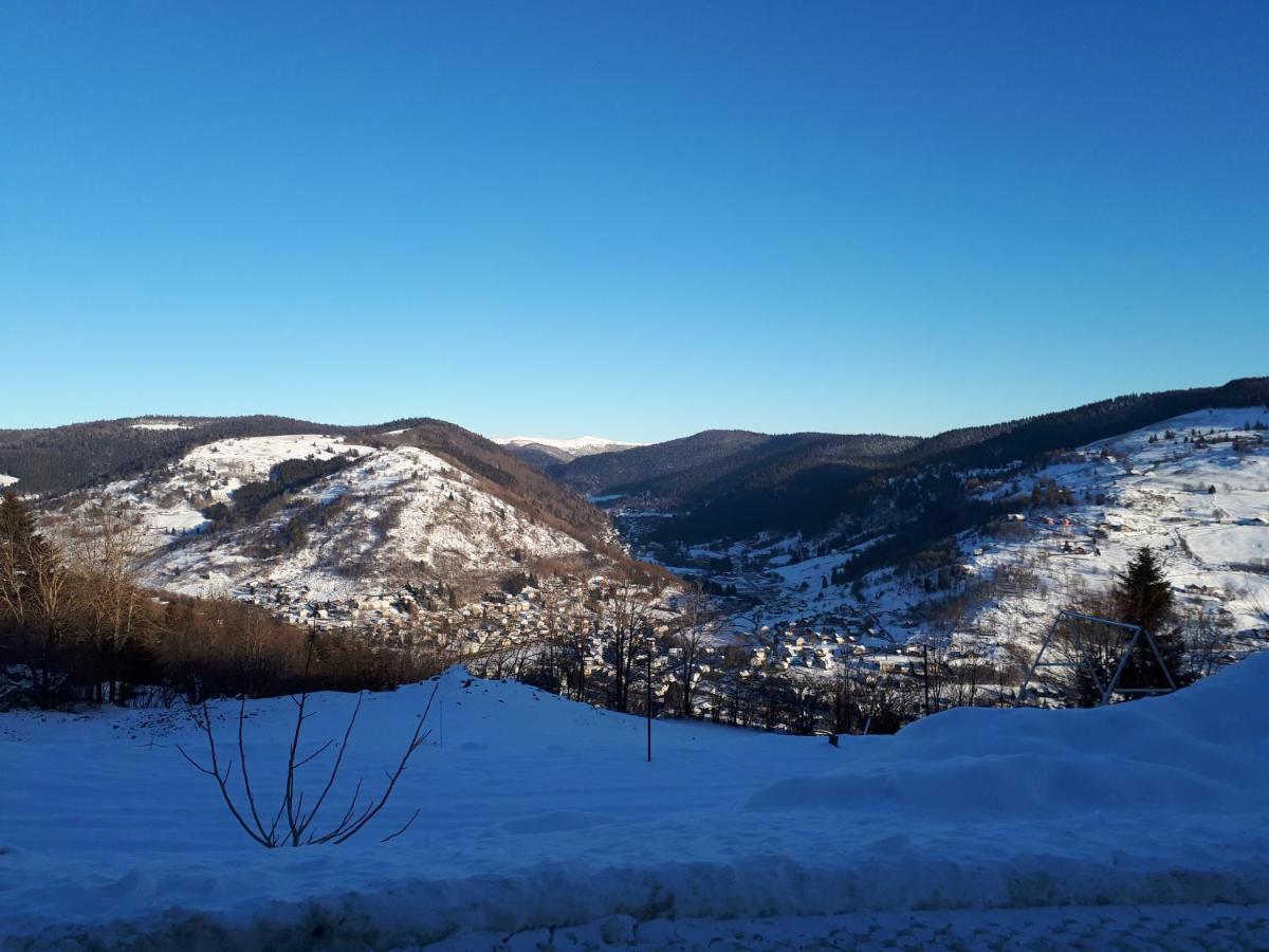 Studio Le Panorama La Bresse Dış mekan fotoğraf