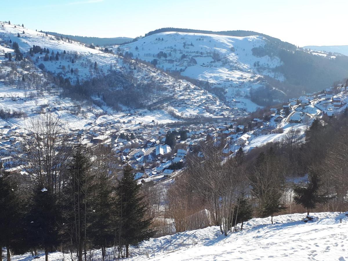 Studio Le Panorama La Bresse Dış mekan fotoğraf