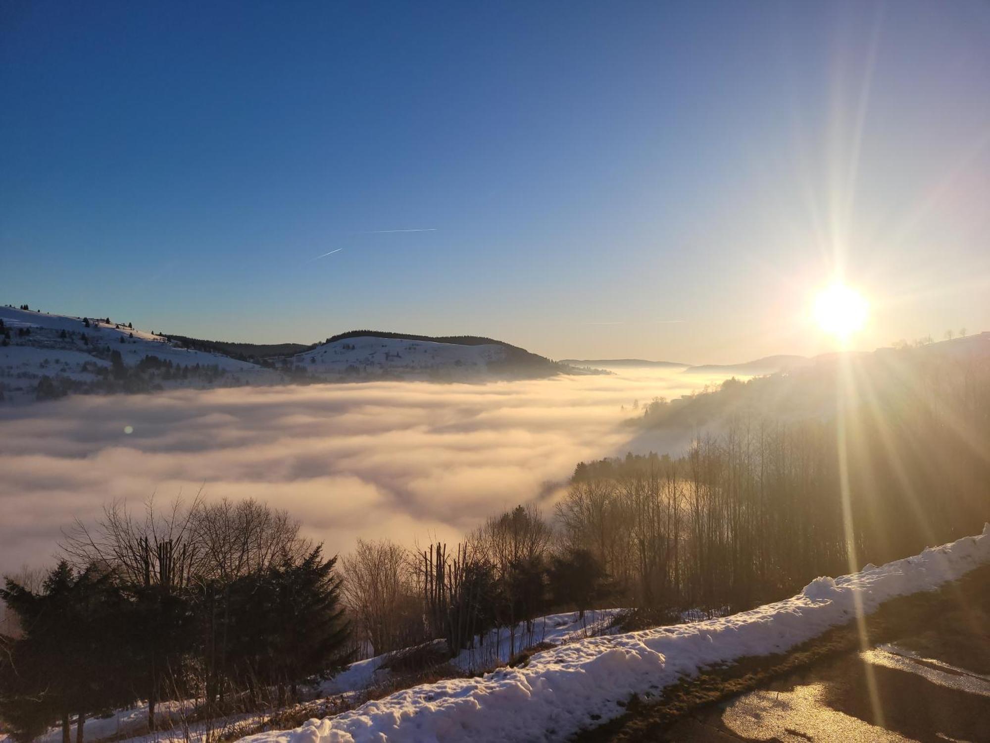 Studio Le Panorama La Bresse Dış mekan fotoğraf