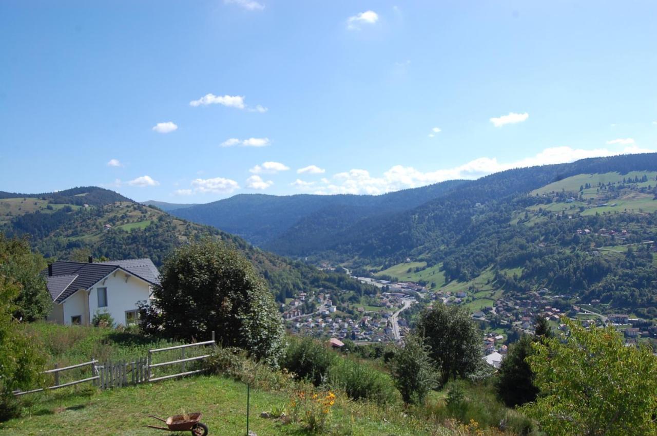 Studio Le Panorama La Bresse Dış mekan fotoğraf